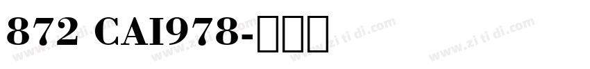 872 CAI978字体转换